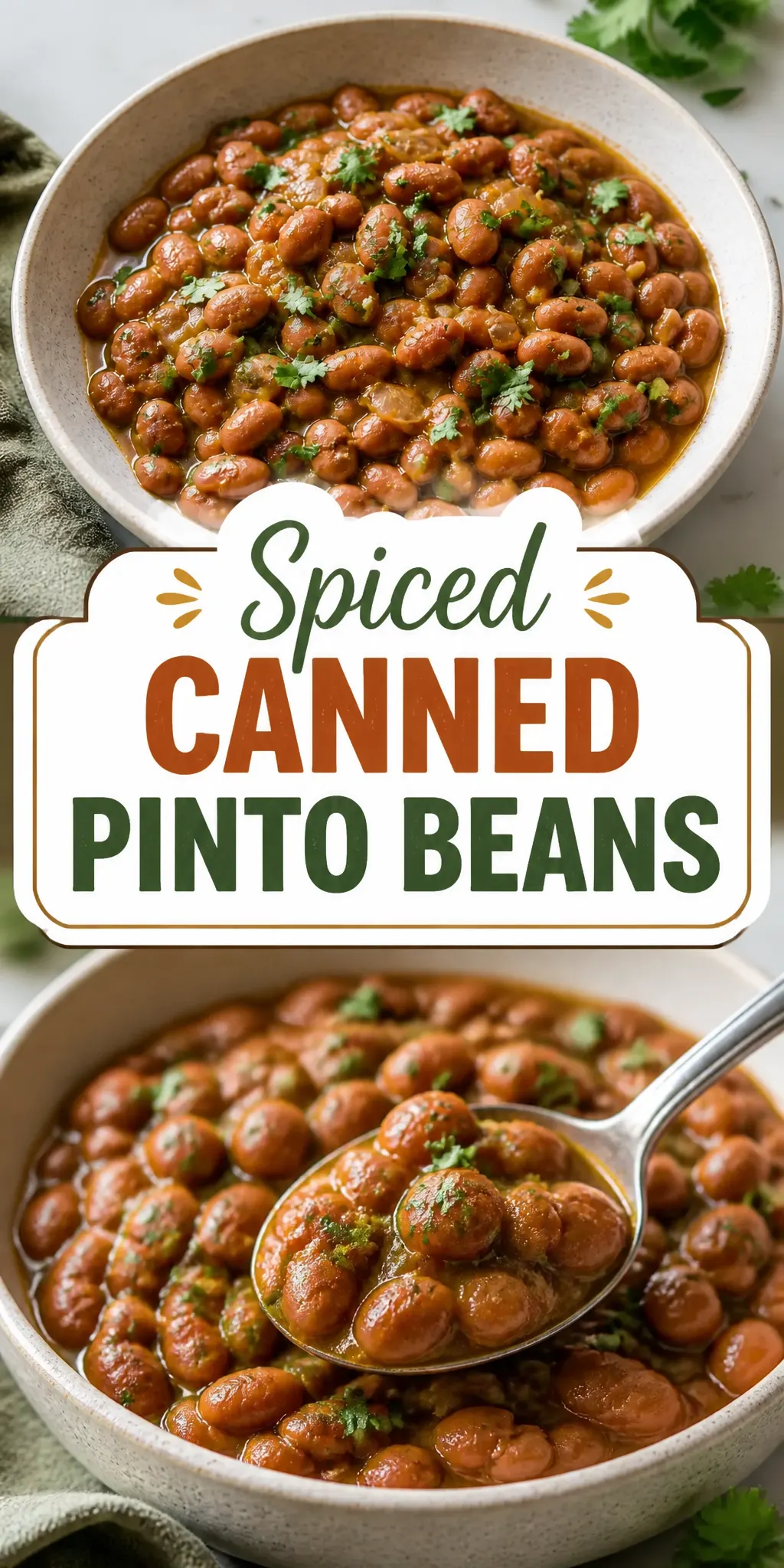 Spiced Canned Pinto Beans Pinterest pin